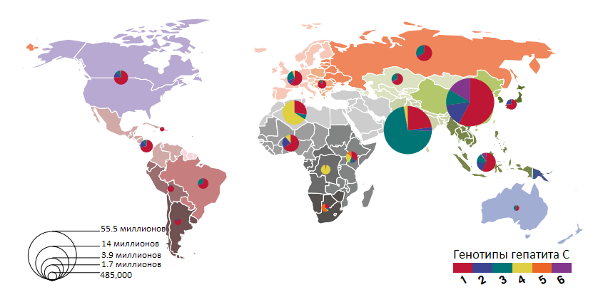 Карта распостранения генотипов РНК гепатита С